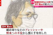 田中聖、また逮捕 「代わりに金払え」 知人女性に出演料を脅し取った疑い
