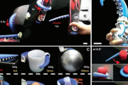 タコのように曲がり吸盤を駆使する触手ロボット…ハーバード大など開発！