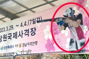 韓国人「韓国射撃大会の広報物に『旭日旗のイメージ』が入り炎上！」→「真相究明すべき」　韓国の反応