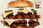 【画像】ふぅん、これが約2500円のバーガーセットか・・・