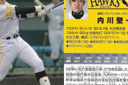 内川聖一(27)「FAします！」 SB「ほーしいｗｗ」 10球団「･･･」