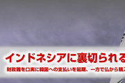 韓国にブーメラン直撃！　インドネシアに裏切られていた！　戦闘機事業の分担金支払いを延期　⇒　他国から新たに戦闘機を買う！　まさに因果応報だな…
