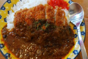 カレー（戦闘力2000）「合体だ！」トンカツ（1800）「おう！」ワイ「どうやって食べるの？」