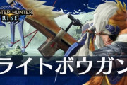 【モンハンサンブレイク】狂化双剣の方が簡単じゃねって死にまくるライト見ながら毎回思うわ