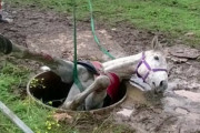 小さな穴に、大きな馬が落ちてしまった！愛する馬のため、大規模＆感動の救助劇！
