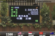 ●静内高校産馬　2500万円で落札