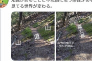 【画像】Twitter民「知識があれば同じ画像でも見てる世界が変わる。」←コレｗｗｗｗｗ