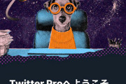 一部アカウントに「Twitter Pro」なる新機能が解放！！いったいコレは？