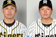「現状チャンスはない」阪神・髙山俊と北條史也、新人活躍で苦しい立場に〈dot.〉