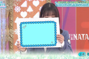 【日向坂46】うおおお！次回のひなあい、完全神回ｷﾀ━━━━(ﾟ∀ﾟ)━━━━!!
