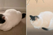外国人「116年前の日本の絵にウチの猫が描かれてたｗｗｗｗ」