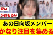 【大反響】あの日向坂メンバー、またまたトレンド入りし注目を集める【日向坂46】