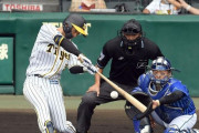 阪神近本とかいう選手www