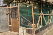 【悲報】猫を殺して逮捕された学生、過去が続々と報道され始めて祖母の家に突撃取材までされる