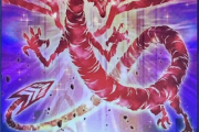 【遊戯王】「赤き竜」は楽しみにしている