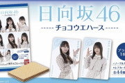 【日向坂46】今日ローソン7つ巡った結果・・・