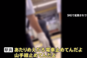 駅員「お前、自分がしたこと分かってんのか？山手線止めたんだぞ」 ← 田舎者なのでピンとこないんだが