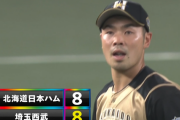 日本ハムファイターズｗｗｗｗｗｗｗｗｗｗｗ