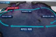 #韓国記事翻訳　『日本のせいで死の放射能が4年で韓国に到達！』、『台風来たらすぐ来る！魚だって泳いで来る！日本右翼は地球から消えるべき！』