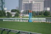 【競馬】　20年後の競馬界に起こっていそうな事