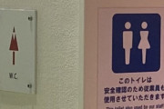 【速報】どう見ても男女共用トイレなトイレに入って逮捕・起訴された男性、無罪に