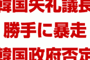 韓国政府「1+1+国民寄付？そのような提案はない」「失礼議長が勝手に暴走しただけ」　どういうことだよ…