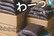 とある飲食店「あんこを誤発注して2kgのはずが200kg届いた！みんな助けて！」ﾊﾟｼｬｯ → 投稿された画像、何かがおかしいと話題にｗｗｗｗｗ