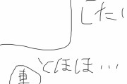 カーナビ「しばらく道なりにいったら左折してね」ぼく「二車線あるけど左によるか」