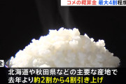コメの流通価格の基準「概算金」最大4割程度上昇　全国的な“コメの品薄”が背景に