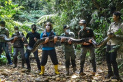 全長9mの大蛇、インドネシアで捕獲
