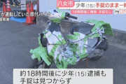 【画像】警察から逃走した少年、アルミホイラーだったｗｗｗｗ