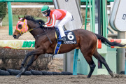 アメリカンシード1勝クラス7馬身差→2勝クラス5馬身差→3勝クラス5馬身差→マーチS？