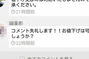 【解明】メルカリで「10円」とか「50円」とか値切ってくる奴の心理がやっと分かったぞ‥‥