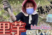 【悲報】大人気ゲーム「ウマ娘」の美人声優さん、YouTubeに延々と里芋を掘る謎の動画を上げてしまう…