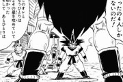 【ドラゴンボール】ラディッツ「ベジータとナッパと俺じゃ苦戦しそうな星を見つけたからカカロットを拾いにきた」←これさぁｗｗｗ