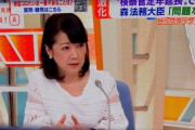 【動画】萩谷弁護士「検察トップの人事を内閣に握らせるのは問題！」→小松アナ「今は誰が決めてるのか？」→萩谷「け、形式的には内閣…」