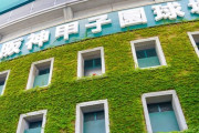 高校野球を甲子園球場でやる意味ってもうないよね、暑すぎじゃん