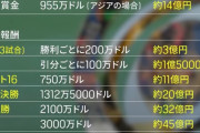 【朗報】チェルシーさん、クラブW杯決勝進出で総額約160億円の大会賞金を獲得ｗｗｗｗｗｗｗｗ