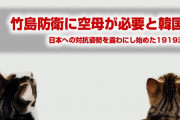 韓国「竹島防衛のために空母が必要だ」　何と戦ってるんだよ…