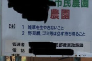 【ポケモンGO】ポケスト申請「市民農園」何故か否認される…審査員が市民農園を理解してない？