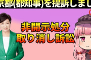 【悲報】仁藤夢乃「Colabo」に提訴された暇空茜さん、強すぎる