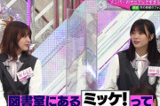 【櫻坂46】田村保乃が言ってた『ミッケ！』分からないファン続出w