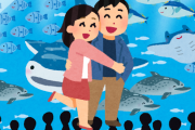 【超悲報】ゴミ「水族館でデート！?」←これマジでなんなの？？？？？