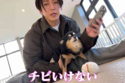 亀梨和也、田中みな実とそっくり！　愛犬への「いけない」優しい叱り方で思い出された “親密関係”