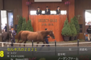 【セレクトセール】キズナ産駒「セルキスの2021」が4億1000万円！ホウオウ・小笹芳央氏が落札