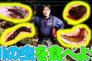野食ハンターさん「コオロギは不味い。もっと旨い昆虫いっぱいいる。ザザムシとか」