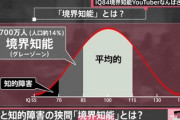 【画像】「境界知能」とは？