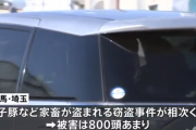【家畜窃盗事件】元新潟県知事・米山隆一「外国人が豚を盗むわけがない、差別するな！同業者が怪しい！！！」群馬県警「犯人はベトナム人でした」炎上