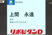 西武ドラ７は上間永遠！四国ILの最優秀防御率