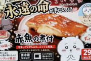 【画像】セブンイレブンのバイト「AIにちいかわの画像を食わせてっと………できた！」